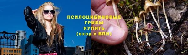 гидра Белокуриха