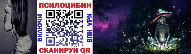 где можно купить Кстово Псилоцибиновые грибы Psilocybe