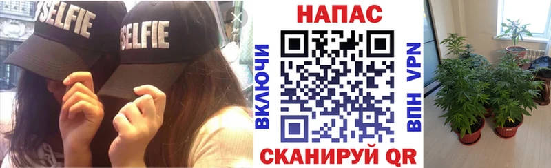 мега зеркало  Кстово  Конопля AK-47  где продают наркотики 